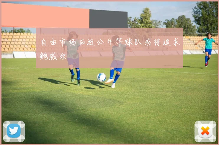 自由市场临近公牛等球队或将追求鲍威尔