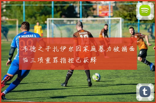 韦德之子扎伊尔因家庭暴力被捕面临三项重罪指控已获释
